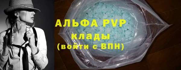 шишки Баксан