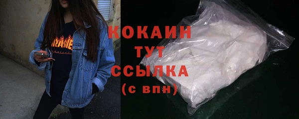 шишки Баксан