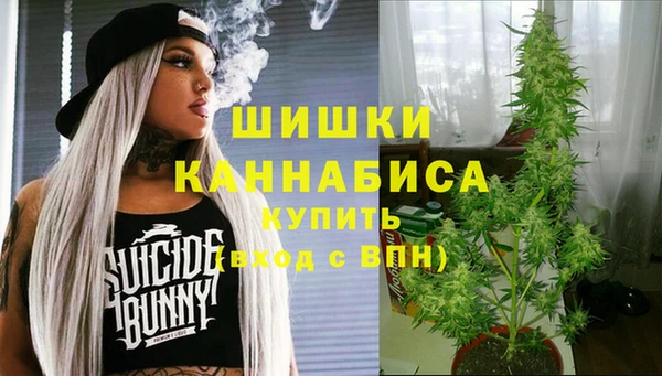 шишки Баксан