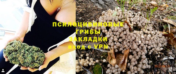 синтетический гашиш Балахна