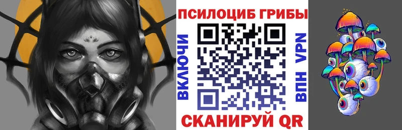 хочу наркоту  Петрозаводск  Галлюциногенные грибы прущие грибы 